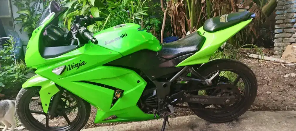 Kawasaki ninja 250 cc sport