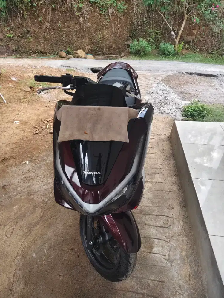 Di jual pemakaian pripadi