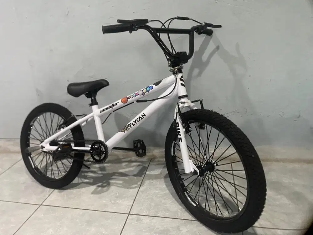 SEPDAH BMX 20 inc