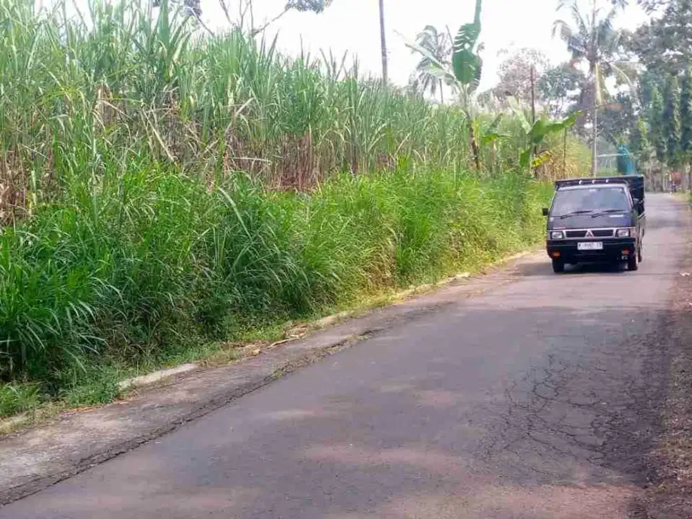 Tanah Poros Jalan Aspal Jabung Malang