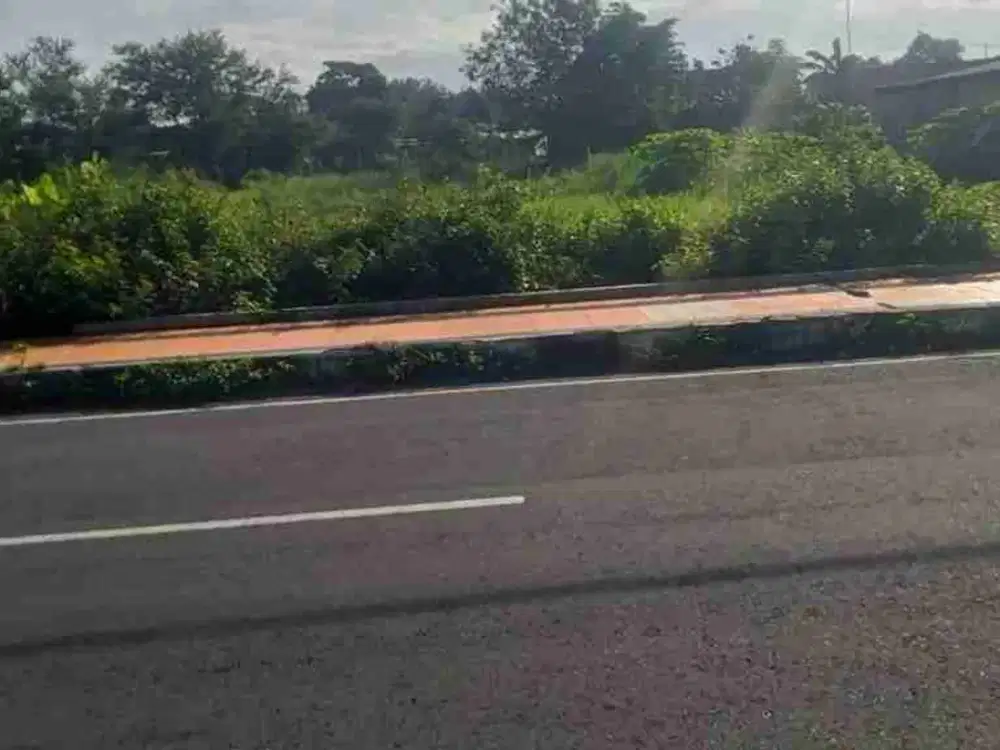 Tanah Luas  Strategis di Mainroad Candi Prambanan Yogyakarta Luas Tanah 1.913 harga 11 Milyar