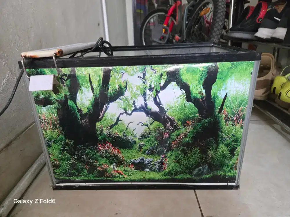 Aquarium kecil bekas