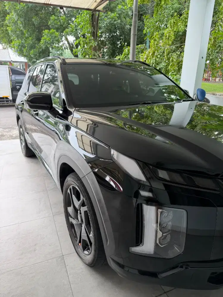 Hyundai palisade signature