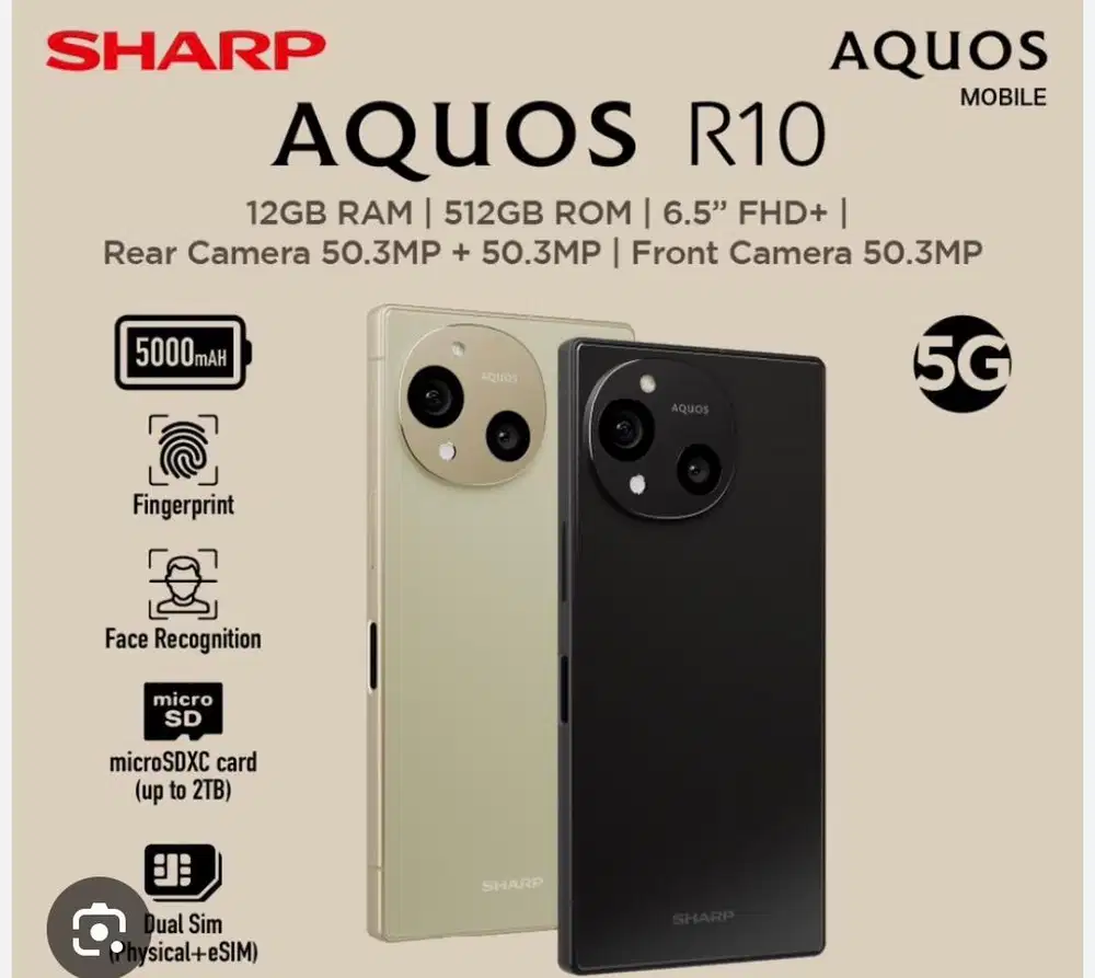 SHARP AQUOS R10 12/512GB