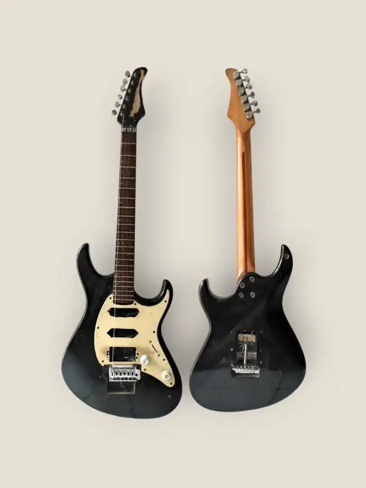 Cort G 250 body dan neck only