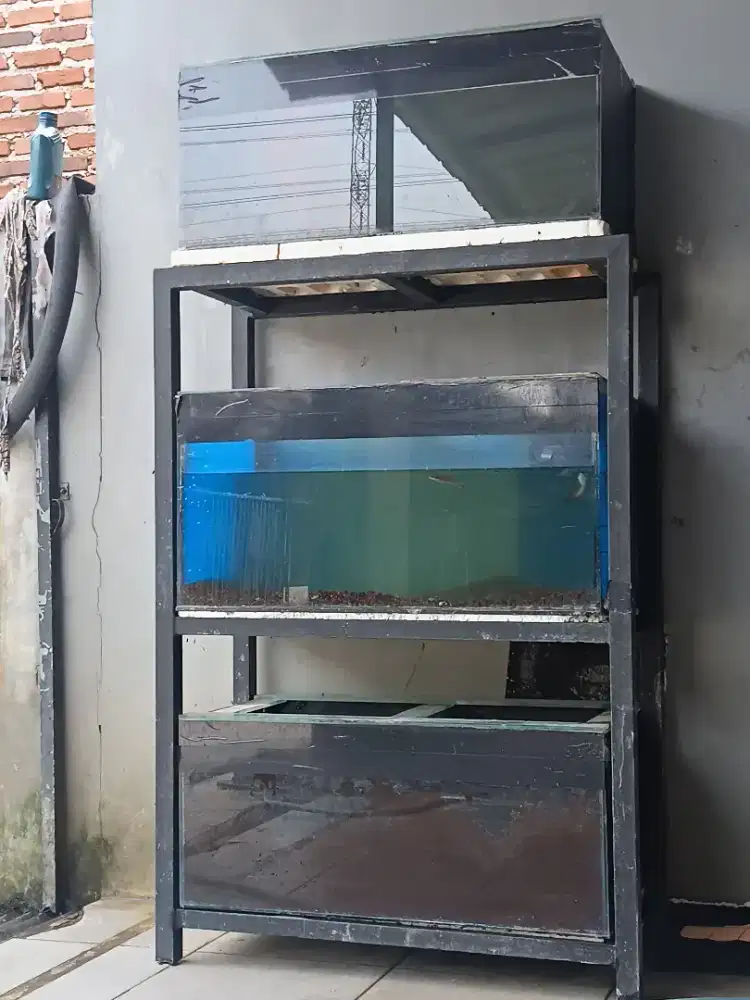 Rak dan aquarium murah aja