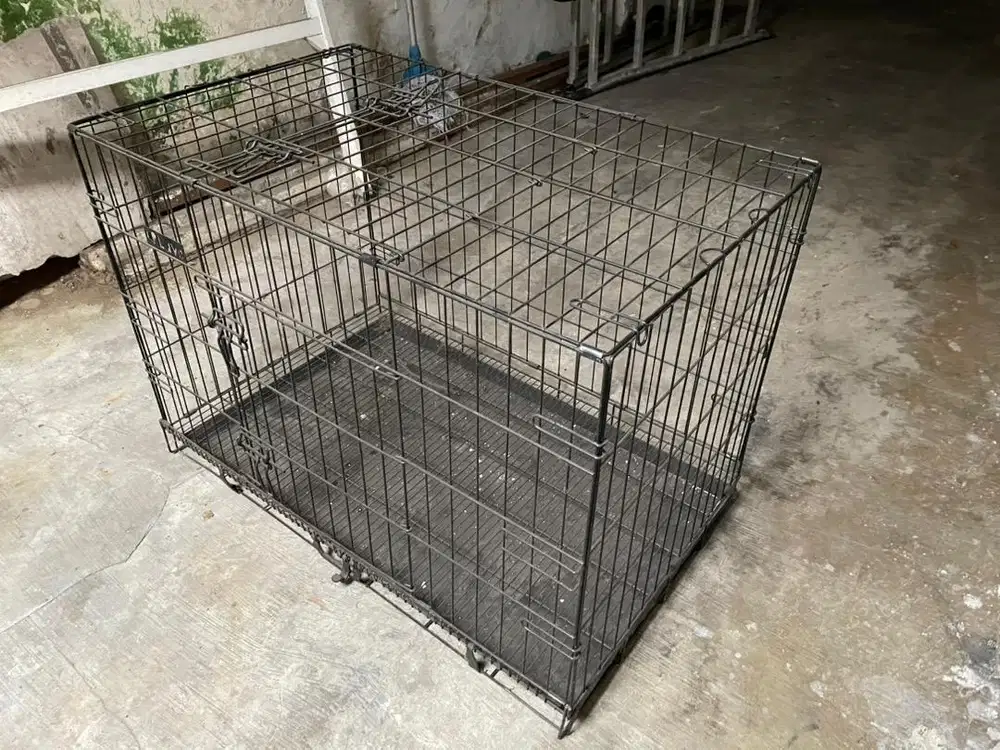 Kandang kucing besar baru