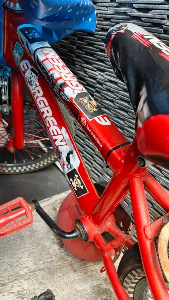 Sepeda Bmx Anak