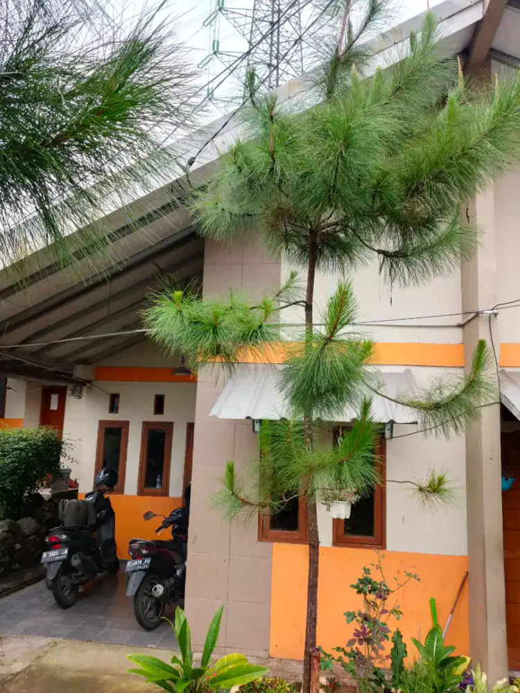 Rumah dikontrakan bulanan
