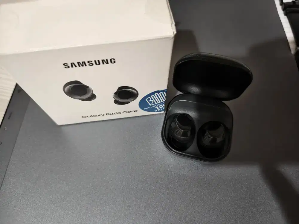 Galaxy Buds Core