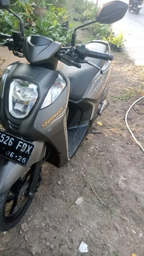 Honda Genio 2010