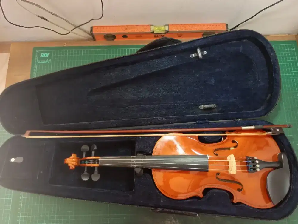 Biola Cervini 4/4