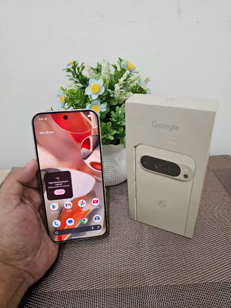 Google pixel 9 pro xl