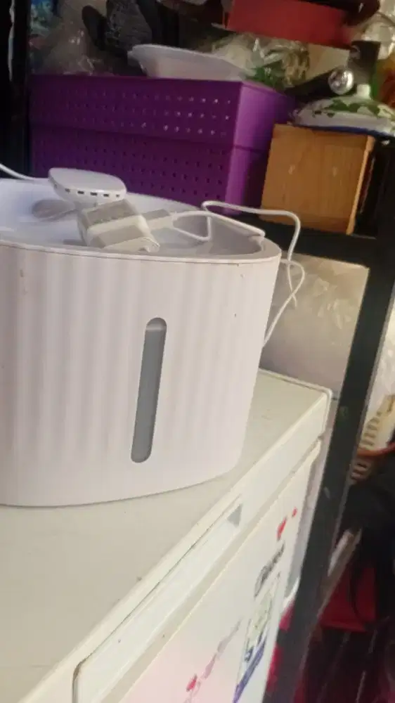 Dispenser air buat hewan