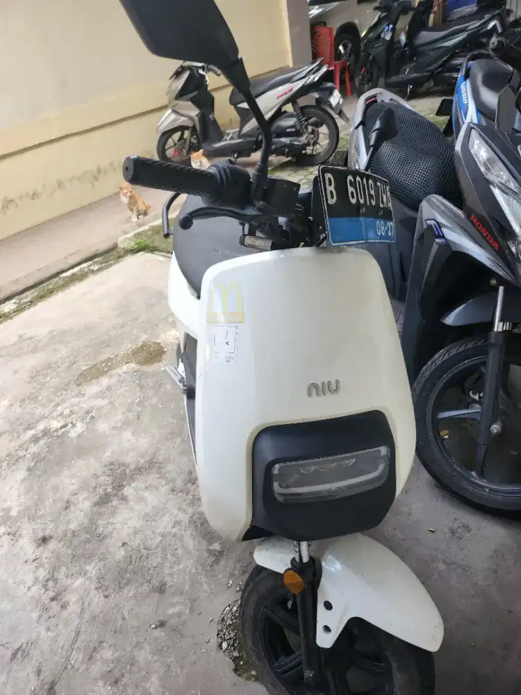 Jual cepat niu gova 03