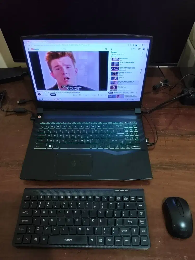 MSI PULSE GL66 11UDK