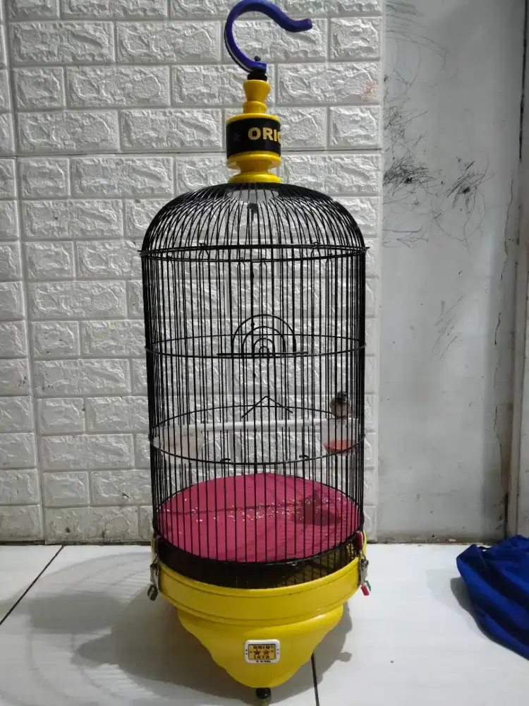 Sangkar oriq 2pcs bekas rasa baru masih pada bersih