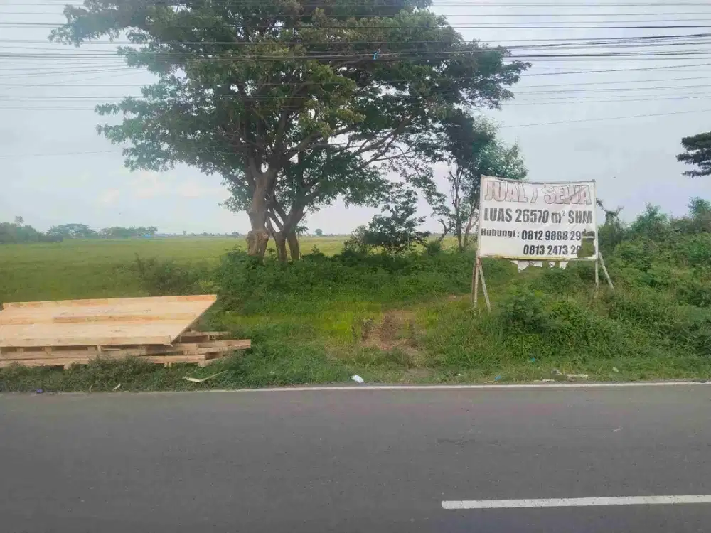 Jual Tanah di Kapetakan Kab Cirebon