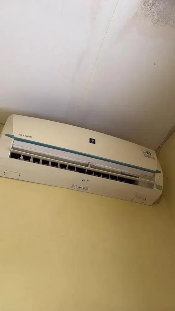 AC Sharp 1/2 Pk