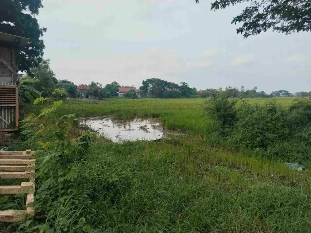 Jual Tanah di Jl Raya Kapetakan Kabupaten Cirebon