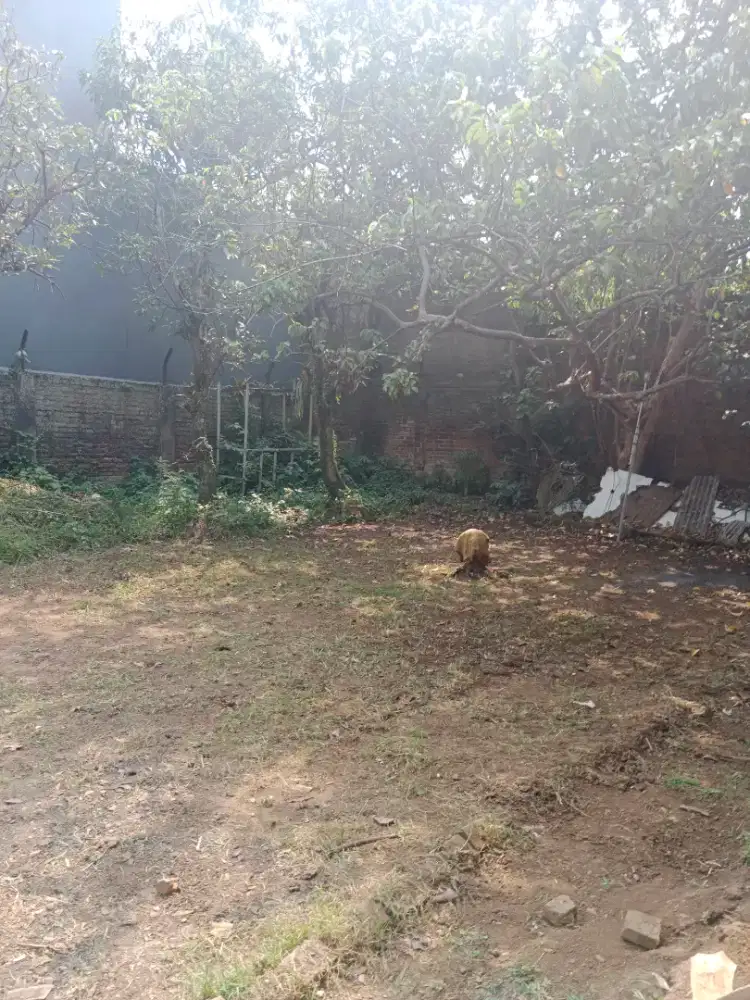 HITUNG TANAH JUAL RUMAH ARCAMANIK BANDUNG