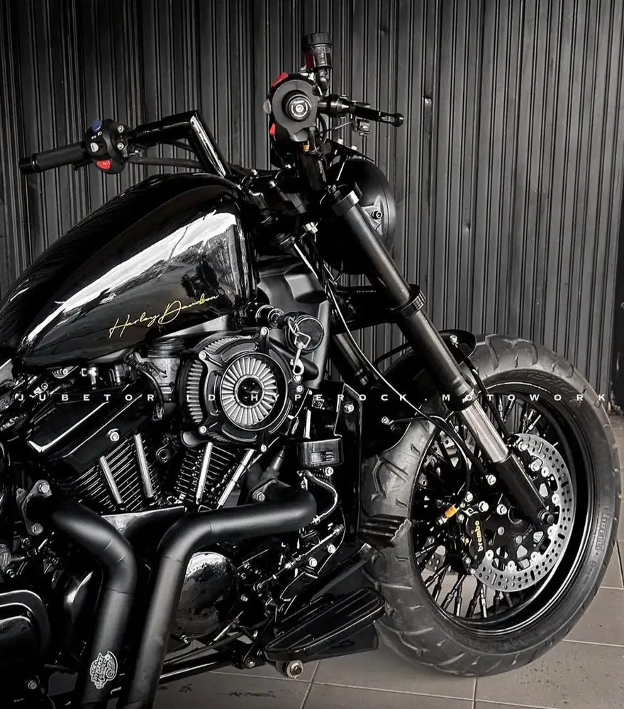 SM V16 Sportster Style Custom Build