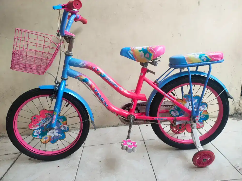 Sepeda anak cewek 18 inchi