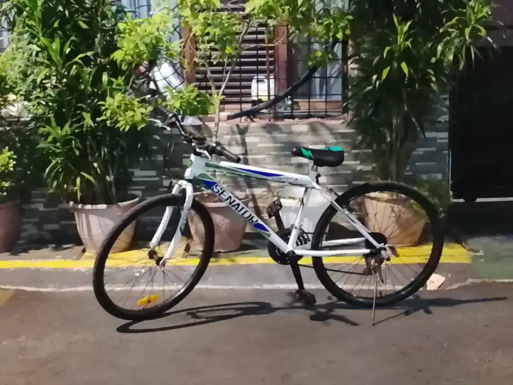 Sepeda senator MTB bekas