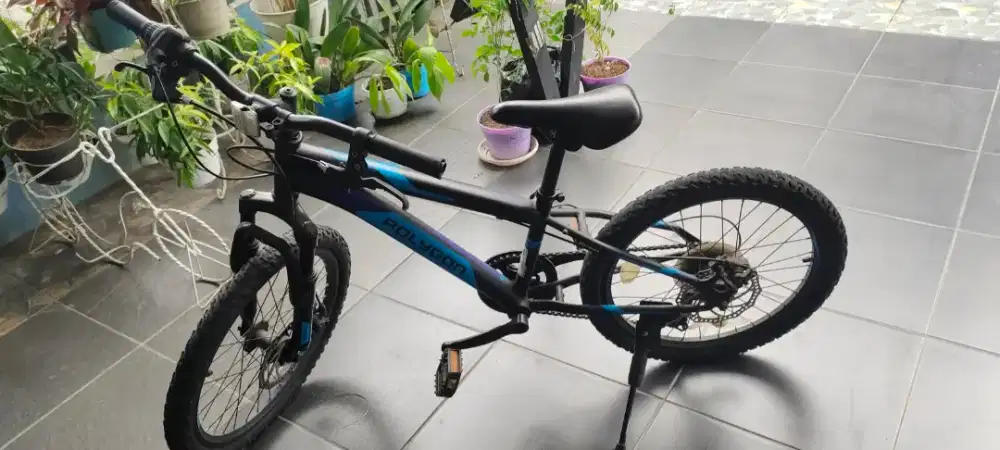 Sepeda anak Polygon storm 20 inchi jual cepat