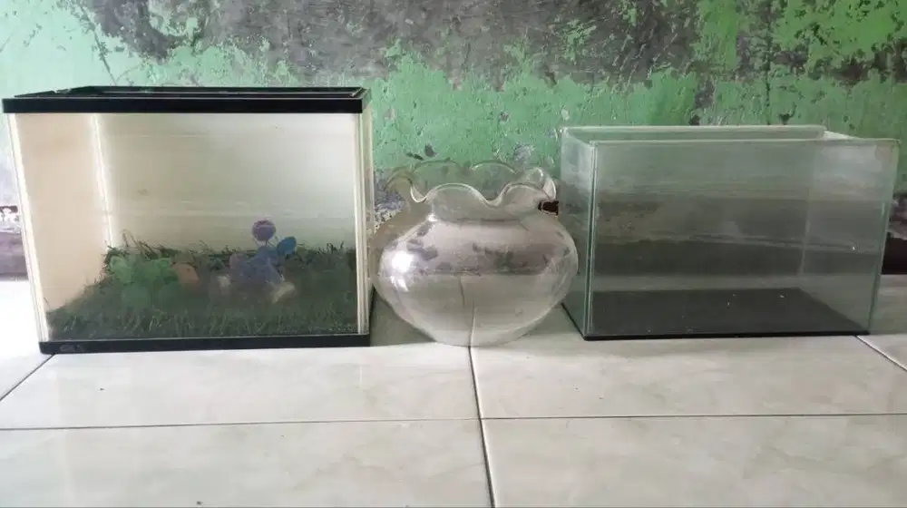 Aquarium murah 3 type