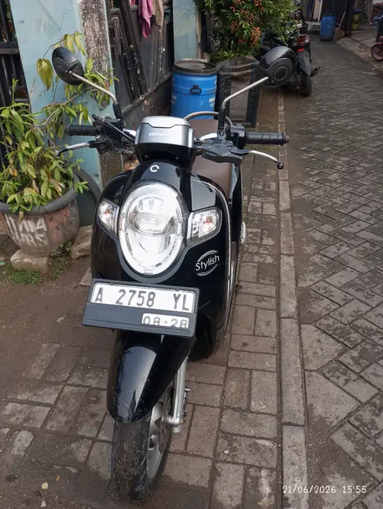 Honda scoopy automatic
