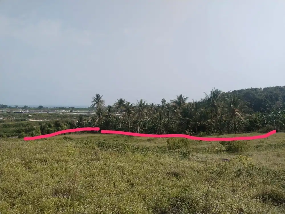 Di Jual tanah kebun cocok untuk lahan jagung