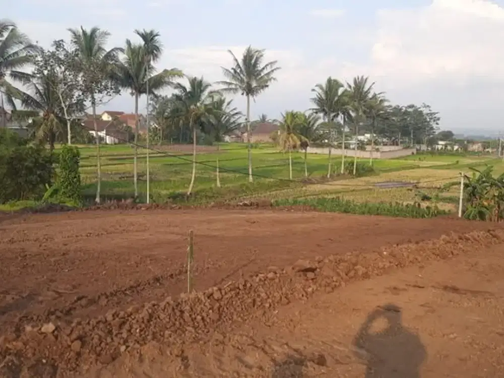 Tanah cocok buat vila dataran tinggi Klampok Singosari View Pegunungan