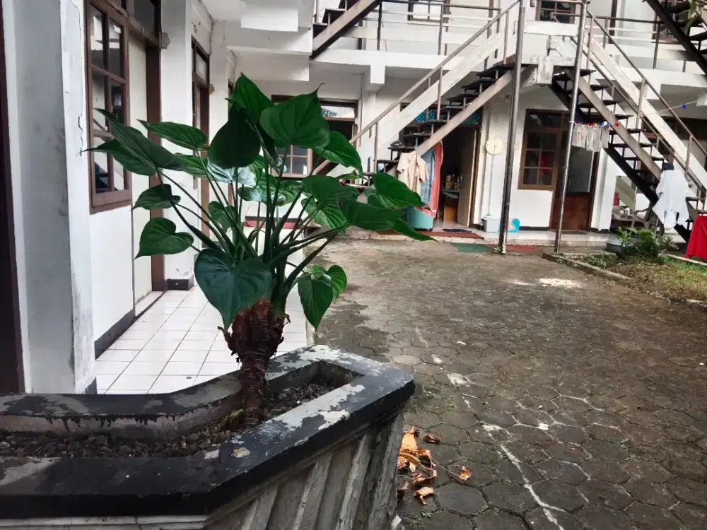 JUAL CEPAT DIBAWAH APRESIAL RUMAH KOST CIUMBULEUIT BANDUNG