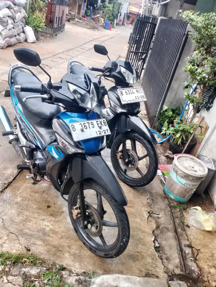 Supra 2012 alus mulus