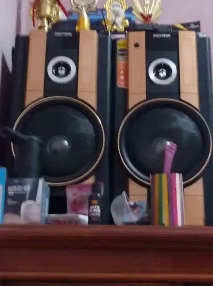 Speaker Polytron