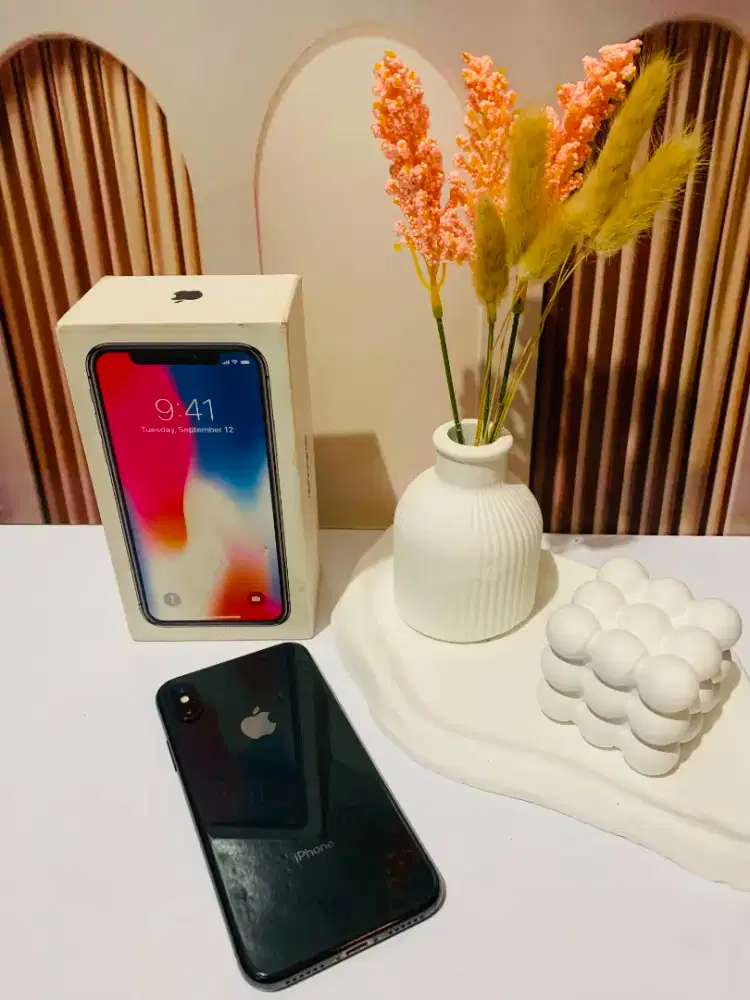 Iphone X 256Gb Ibox