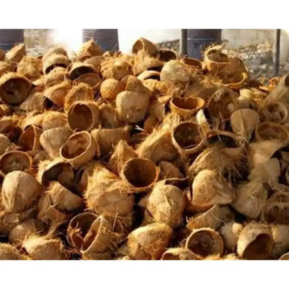 Batok Kelapa / Tempurung Kelapa