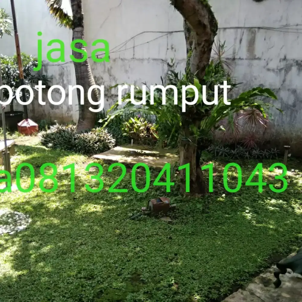Jasa potong rumput dan tebang pohon