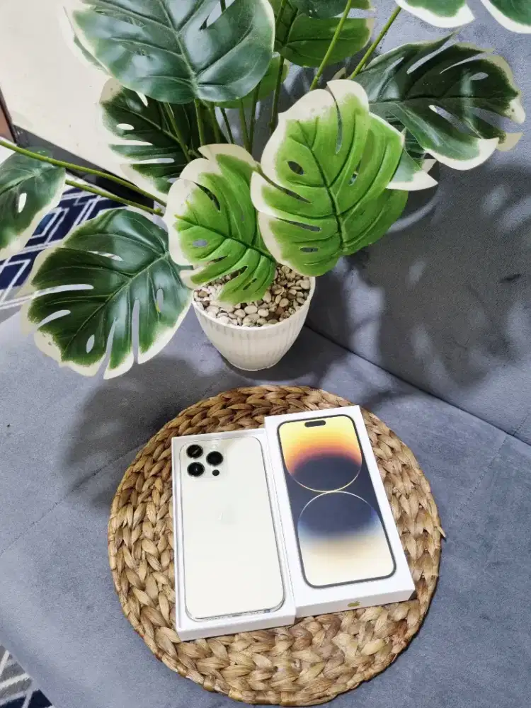 iPhone 14 Pro Max 128GB gold