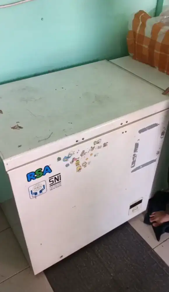 Freezer RSA 310 LITER