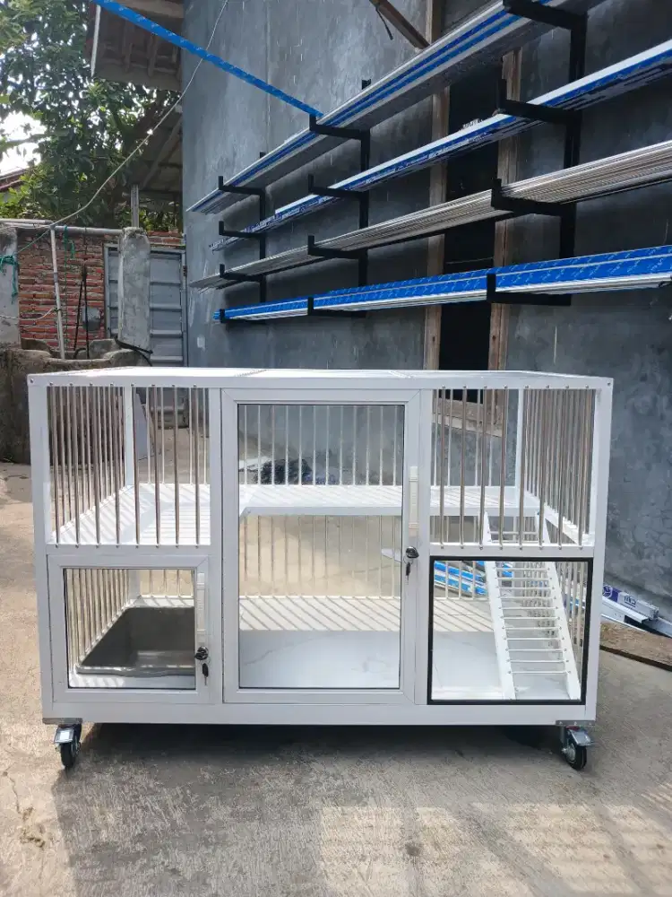 Kandang kucing lampung