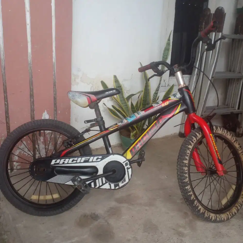 Sepeda anak Pacific
