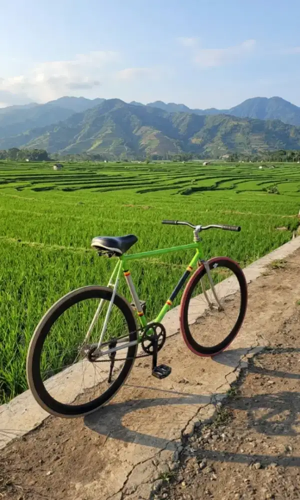 Sepeda fixie fixi