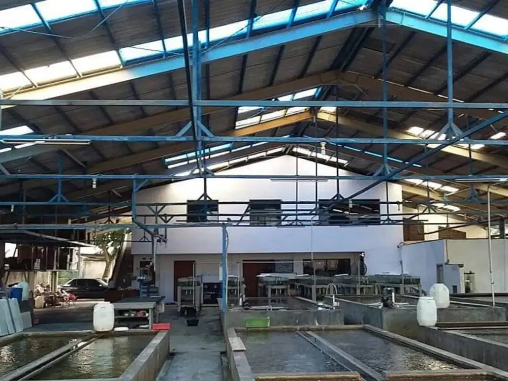 Tanah Bonus Gudang Siap Pakai di Kalideres- Jakarta  Barat