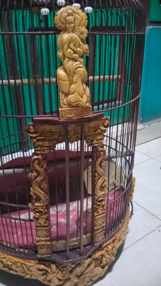 Kurungan anis merah