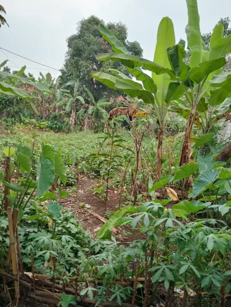 Jual Tanah dgn cepat