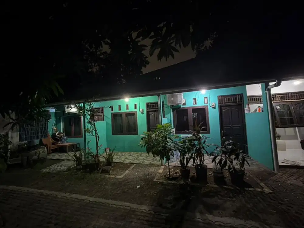 Dikontrakan petakan utan kayu