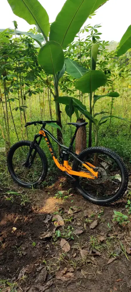 TREK FUEL EX 5 MANTABBB
