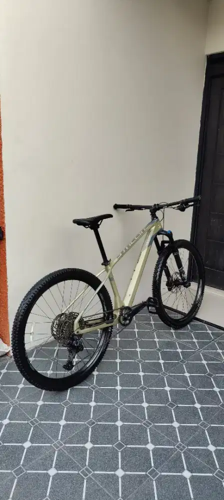 POLYGON SYNCLINE C5 CARBON MANTAP